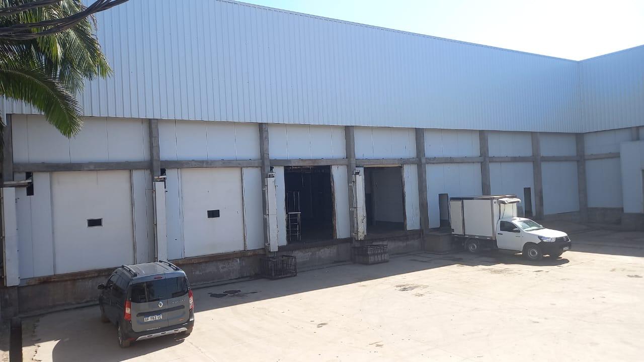Galería 1