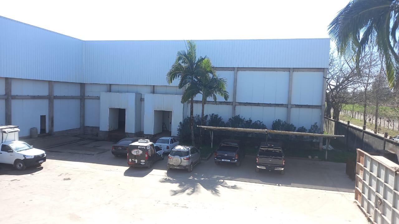 Galería 1