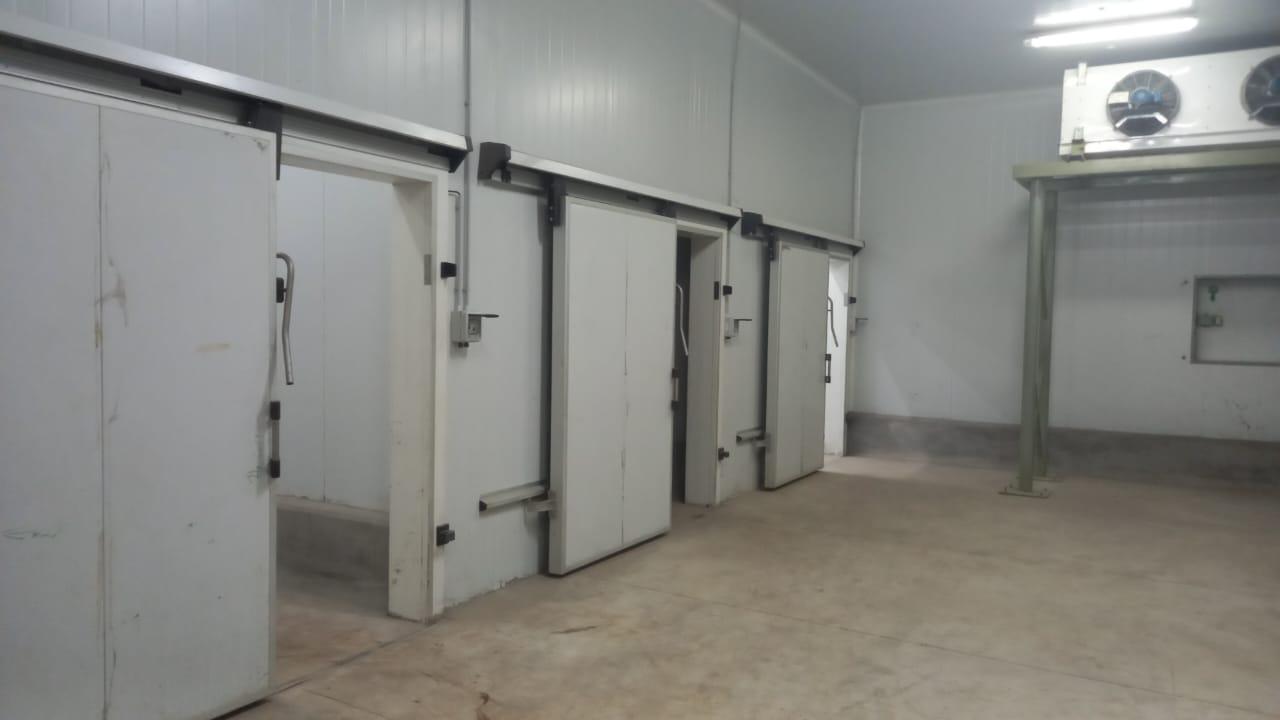 Galería 1